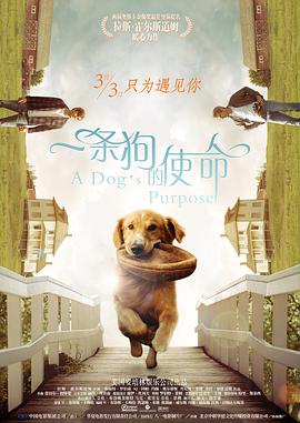 白袜男生踩脸