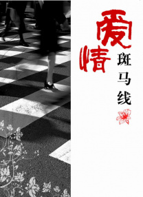久久久久综合一本久道