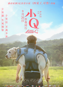国产综合视频在线