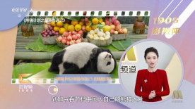 超碰100在线